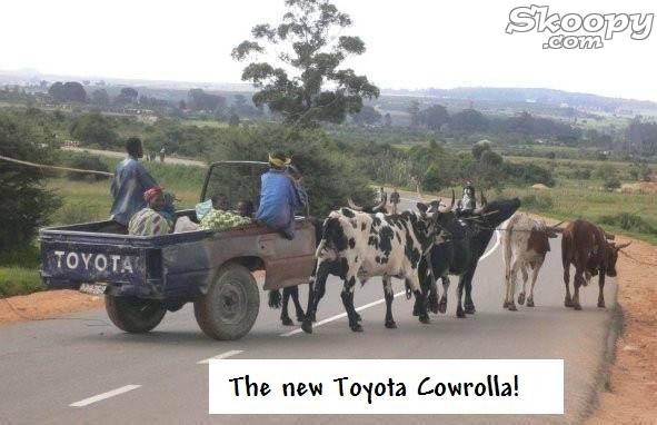 Poze MaxFun.ro » Toyota Cowrolla